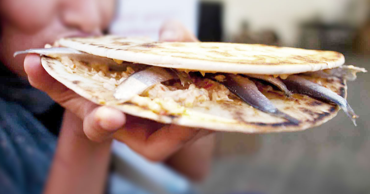 Piadina con sardoncini